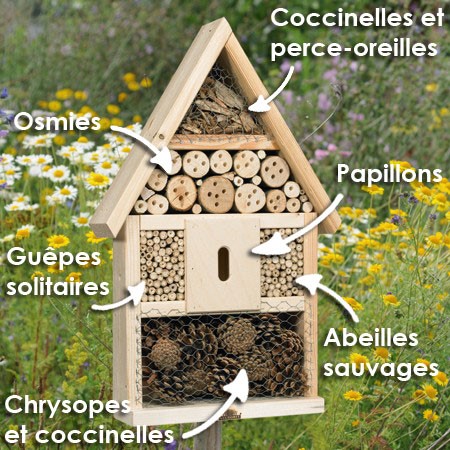Les ruches ou hôtel à insectes 