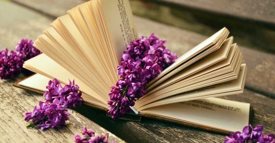 livres, fleurs violettes