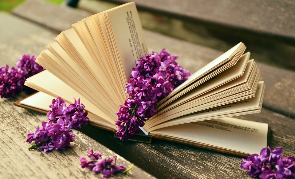 livres, fleurs violettes