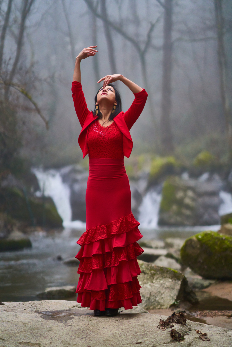 Flamenco et musiques brésiliennes