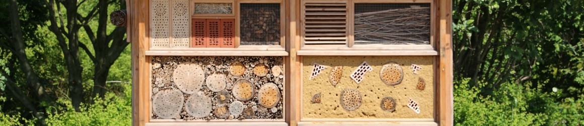 Les ruches ou hôtel à insectes