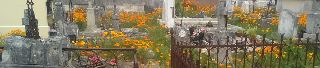 Renaturation du cimetières du Bourg
