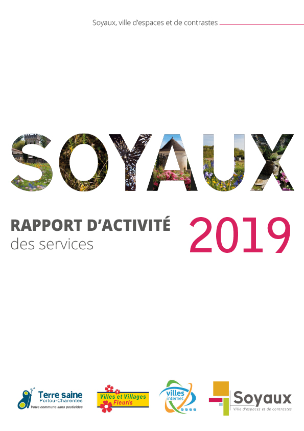 Rapport_d'activité_2019-1