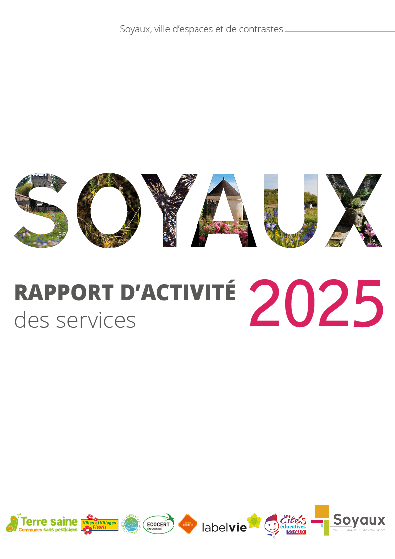 Rapport_d'activité_2025